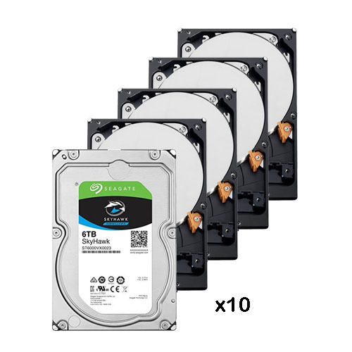 Pack of 10  6 Tb hard disk ( 6144 Gb ) Seagate Skyhawk