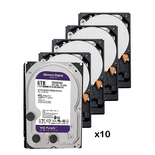 Pack of 10 6 Tb hard disk ( 6144 Gb ) Western Digital