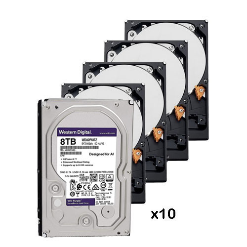 Pack of 10 8 Tb hard disk ( 8192 Gb ) Western Digital