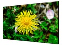 LCD screen 55" bezel 1.8mm 1920×1080 178° loop 30 screens via HDMI 24/7 Metal Hikvision