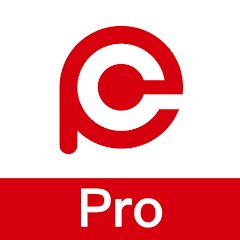 Hik-Partner Pro Co-Branding/year/key