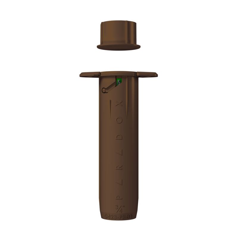 DCT6_BROWN