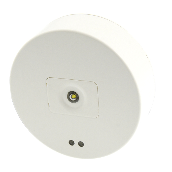 GR-795/ST/DUO Self testing Non-Maintained Emergency Ceiling Mounted Luminaire , Leds / 1-3-8h