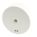 [GR-795/ST/DUO] GR-795/ST/DUO Self testing Non-Maintained Emergency Ceiling Mounted Luminaire , Leds / 1-3-8h